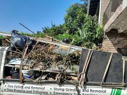 Best Yard Waste Removal  in USA